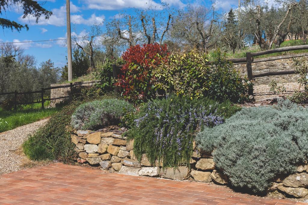 Agriturismo La Collina Toscana Pieve a Maiano Eksteriør bilde