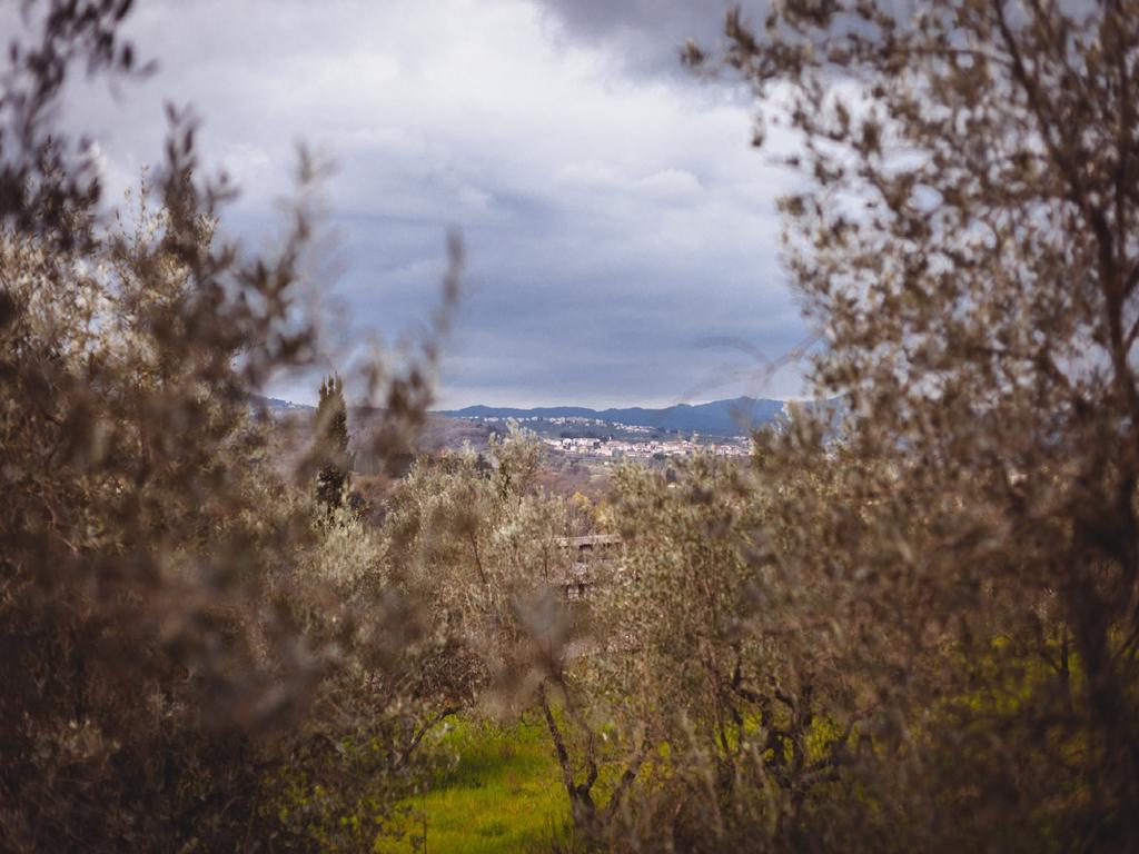 Agriturismo La Collina Toscana Pieve a Maiano Eksteriør bilde